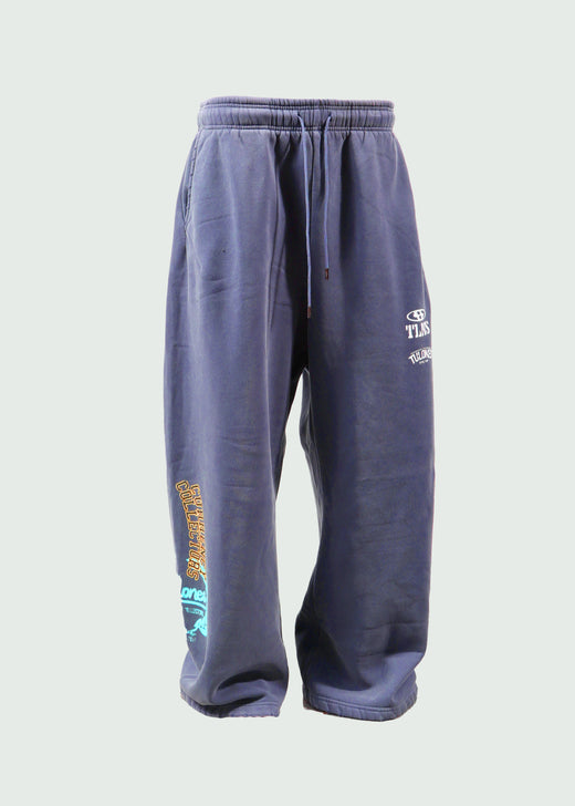 Classified Currency Collector Pants Navy