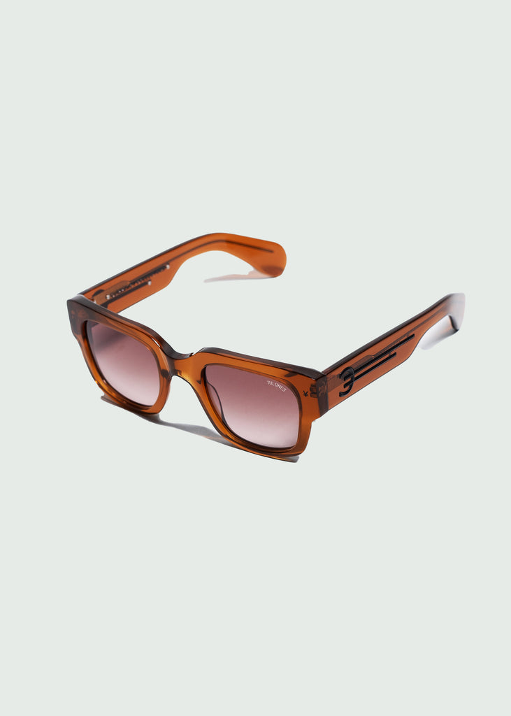 Brown Currency Collector Frames