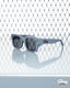 Grey Experience Frames