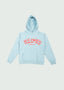 Staple Arch Logo Hoodie Baby Blue